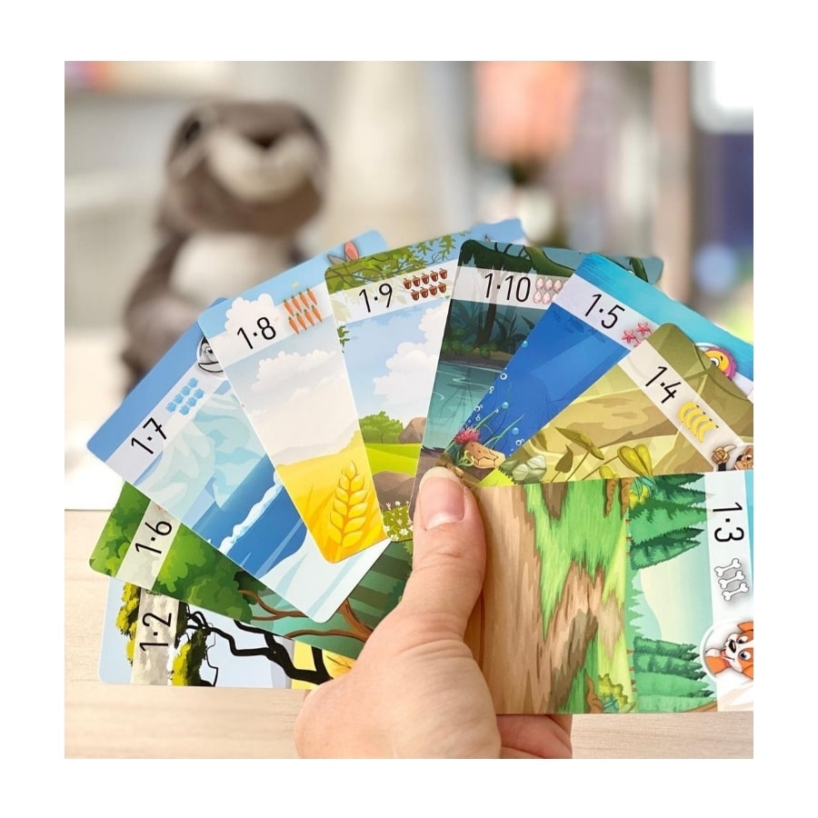 2016006 Spielerisch das Einmaleins üben! Das tierische Einmaleins fördert das Zahlengedächtnis