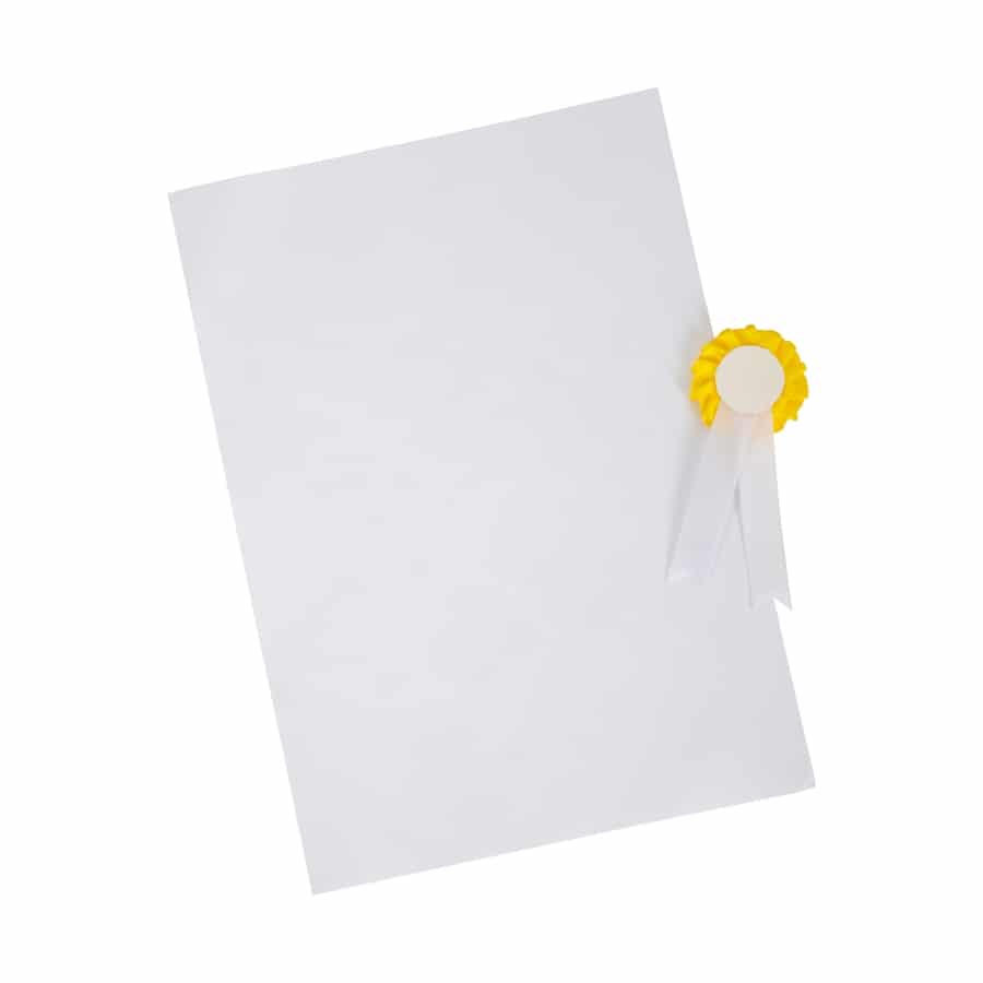 12419 Spielzeug Pferdepflege-Set mit Tasche Small Food 12419