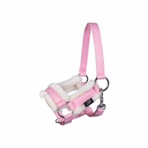 Halfter und Strick -Hobby Horsing-