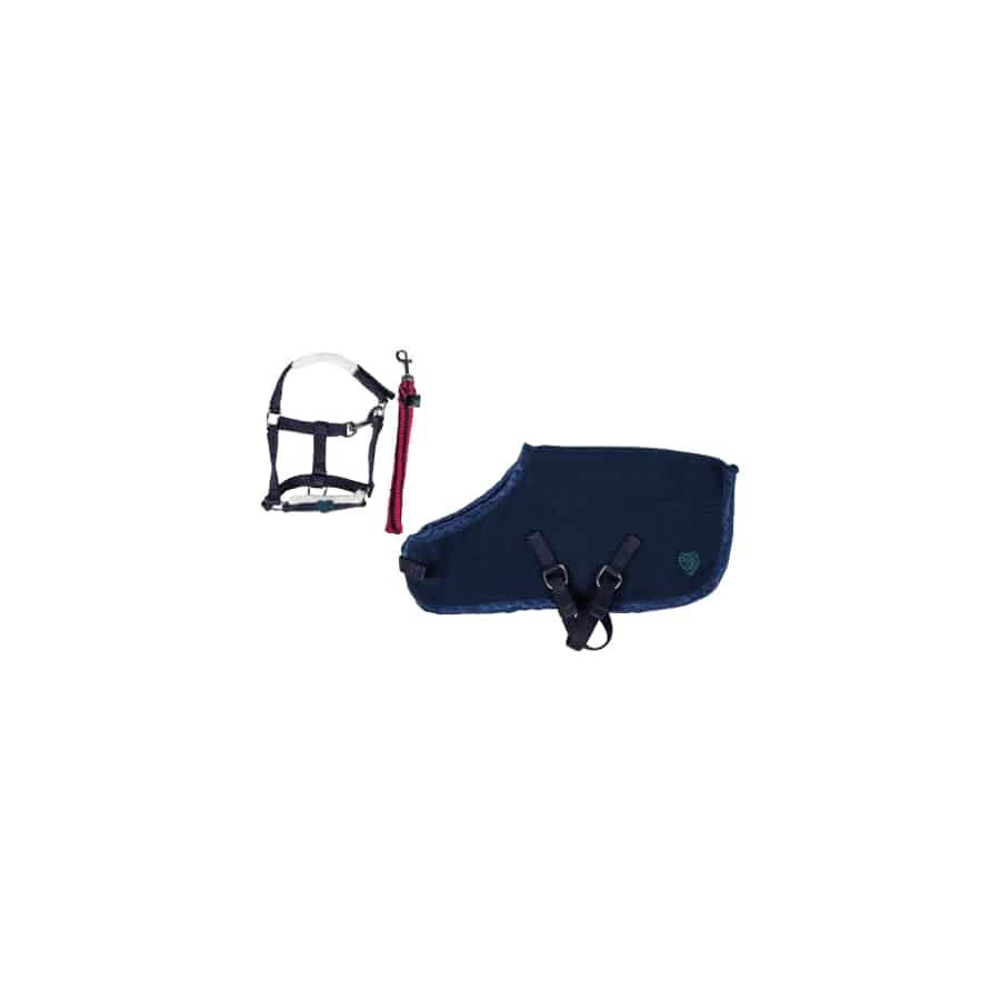14382-6900 Starterset Cuddle Pony, HKM 14382