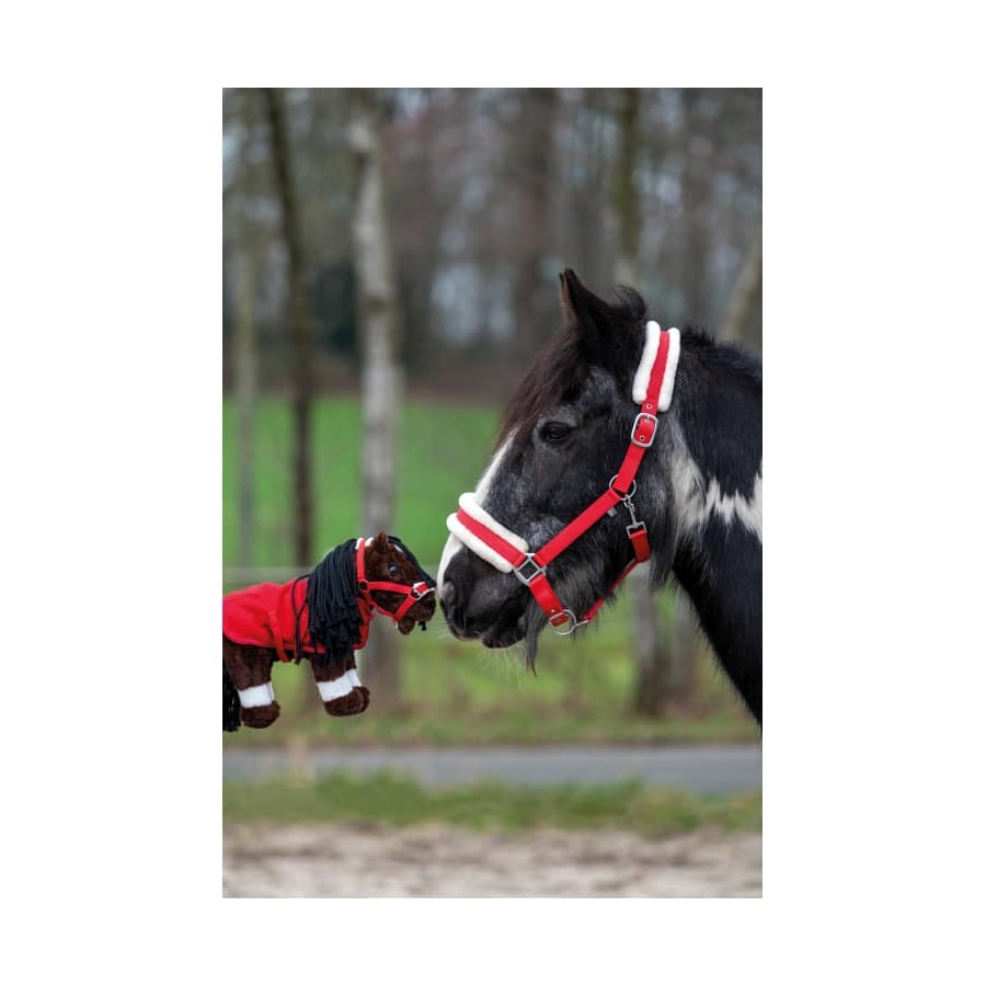 14382-6900 Starterset Cuddle Pony, HKM 14382