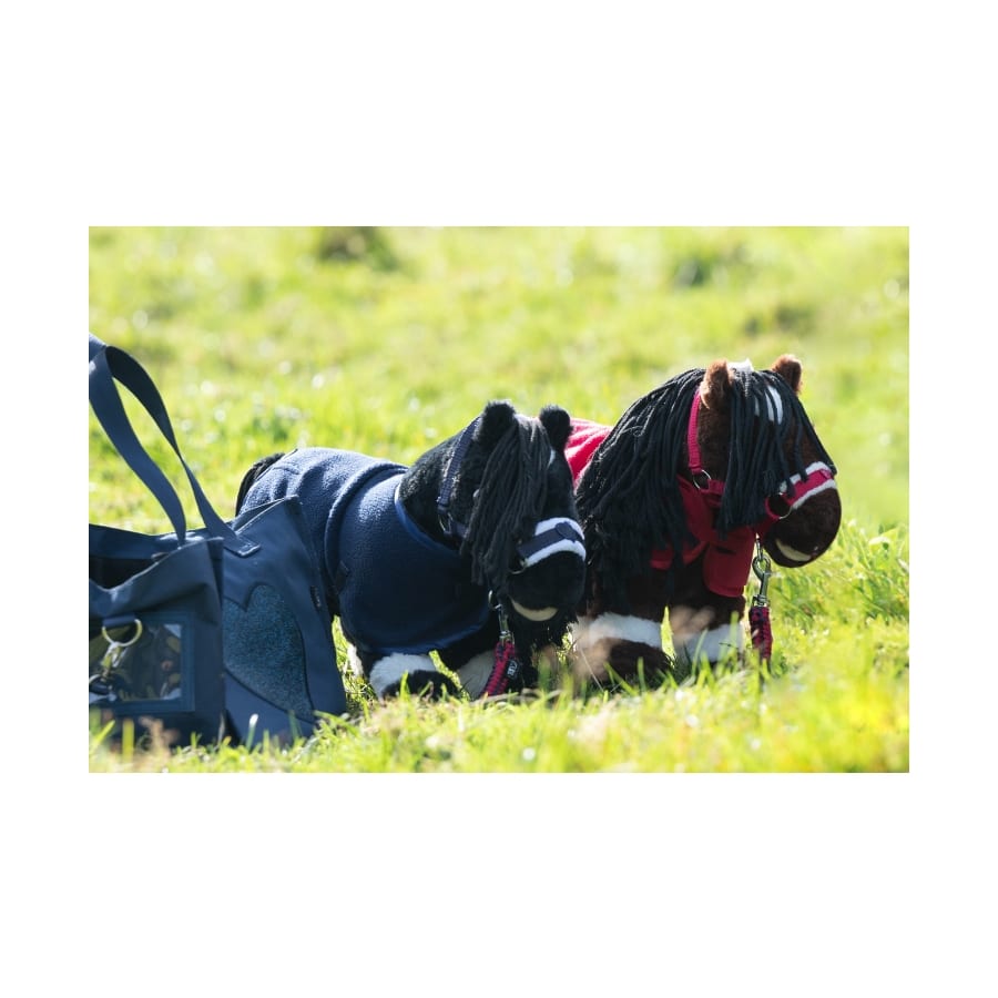 14382-6900 Starterset Cuddle Pony, HKM 14382