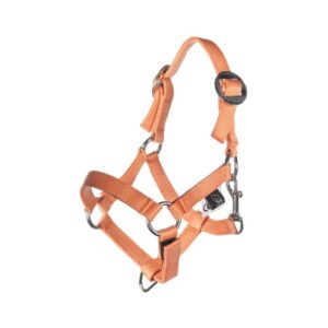 Halfter und Strick Hobby Horsing Basic HKM 15208 - 4200 orange