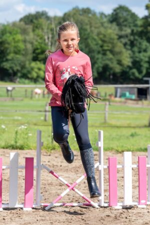 Hobby Horse Turnier