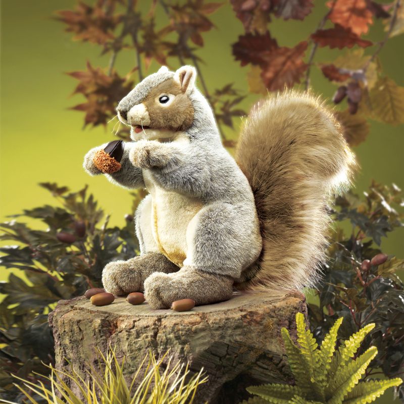 2553 Graues Eichhörnchen / Grey Squirrel