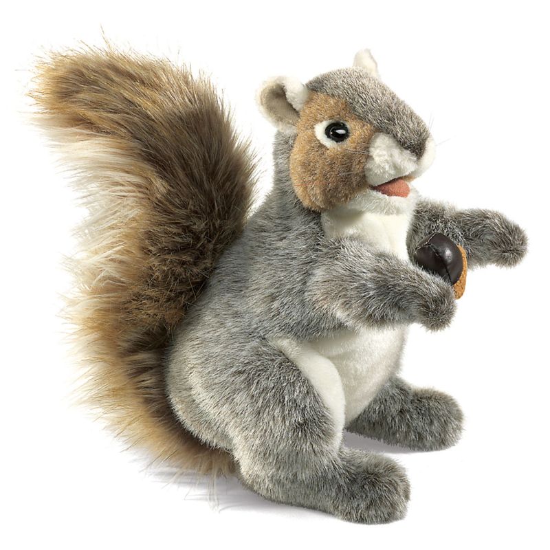 2553 Graues Eichhörnchen / Grey Squirrel