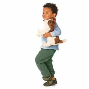 Jack Russell Terrier / Jack Russell Terrier