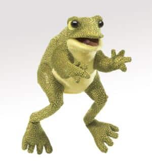 Lustiger Frosch / Funny Frog