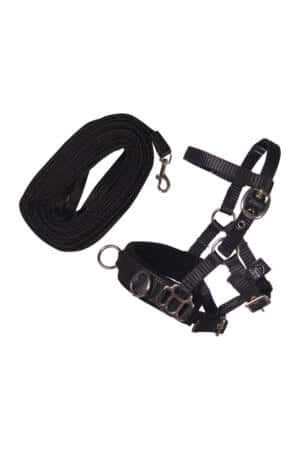 25385 HKM Hobby Horsing Longierset für Steckenpferde - Zubehör-Set zum Longieren & Trainieren - Schwarz 15689