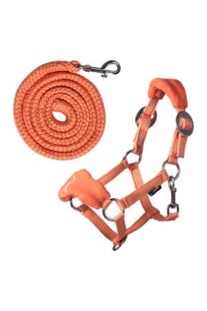 Halfter mit Fleece -Hobby Horsing Orange