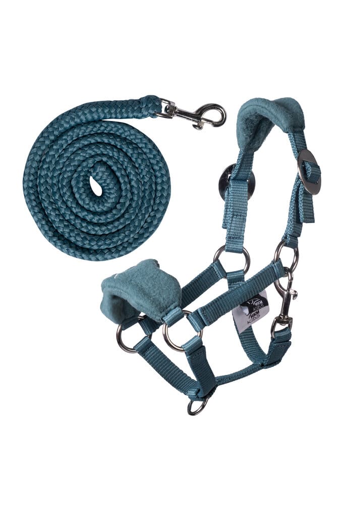 15691 Halfter mit Fleece -Hobby Horsing Türkis