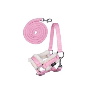 Halfter und Strick -Hobby Horsing-