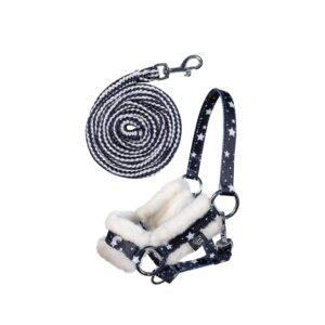 Halfter und Strick -Hobby Horsing-