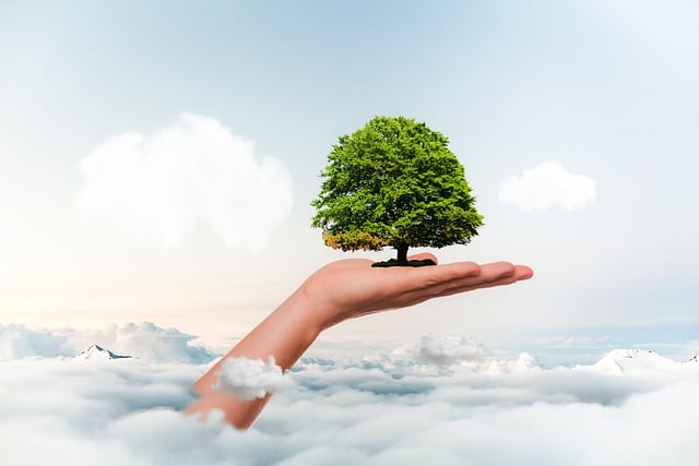 Versand Ressourcenschonend