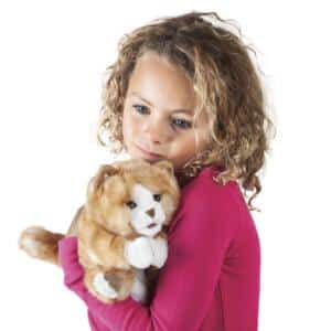 Kätzchen orange-braun / Orange Tabby Kitten