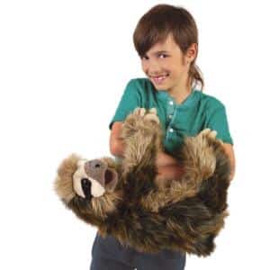 Dreifinger-Faultier / Three-Toed Sloth